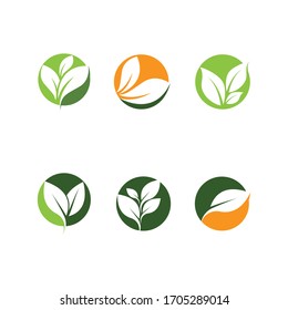 Logos of green Tree leaf ecology nature element vector