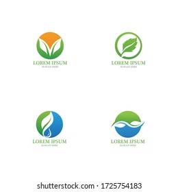 Logos of green Tree leaf ecology nature element vector