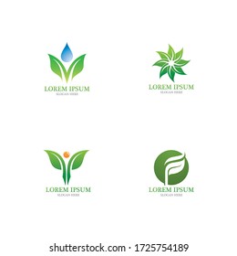 Logotipos de ecología de hoja de árbol verde elemento de naturaleza vector