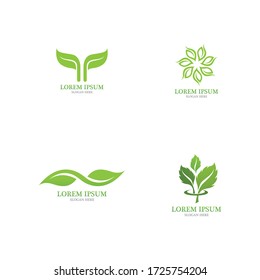 Logos of green Tree leaf ecology nature element vector