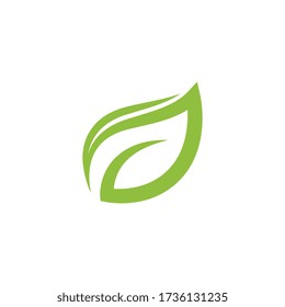 Logos of green Tree leaf ecology nature element vector