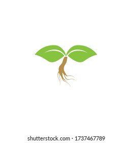 Logos green tree leaf ecology nature vectors template design