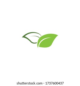 Logos green tree leaf ecology nature vectors template design