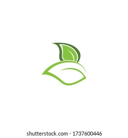Diseño de plantillas de vectores de naturaleza de la ecología de la hoja de árbol verde logotipos