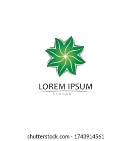 Logos of green Tree leaf ecology nature element vector