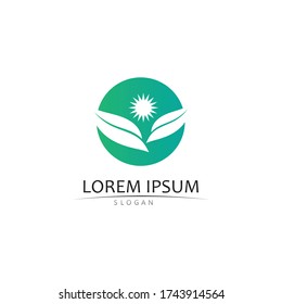 Logos of green Tree leaf ecology nature element vector