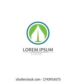 Logos of green Tree leaf ecology nature element vector