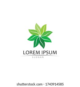 Logos of green Tree leaf ecology nature element vector