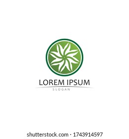 Logotipos de ecología de hoja de árbol verde elemento de naturaleza vector
