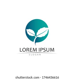 Logos of green Tree leaf ecology nature element vector design 