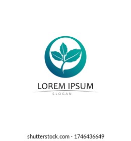 Logos of green Tree leaf ecology nature element vector design 