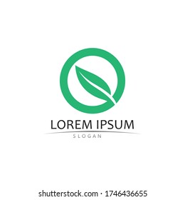 Logos of green Tree leaf ecology nature element vector design 
