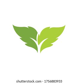 Logotipos de ecología de hoja de árbol verde elemento de naturaleza vector