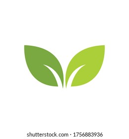 Logotipos de ecología de hoja de árbol verde elemento de naturaleza vector