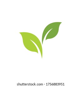 Logos of green Tree leaf ecology nature element vector