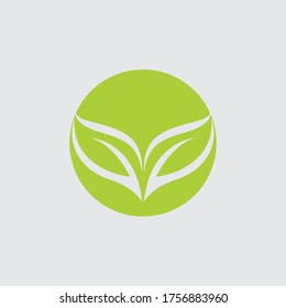 Logos of green Tree leaf ecology nature element vector