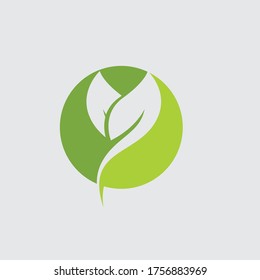 Logos of green Tree leaf ecology nature element vector