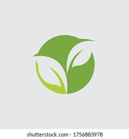 Logos of green Tree leaf ecology nature element vector