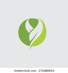 Logos von grünen Baumblätterökologie, Naturelement Vektorgrafik