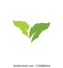Logos of green Tree leaf ecology nature element vector