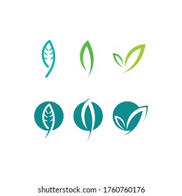 Logos of green Tree leaf ecology nature element vector