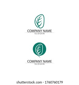 Logos of green Tree leaf ecology nature element vector