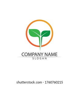 Logos of green Tree leaf ecology nature element vector