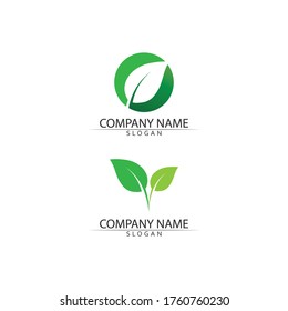 Logos of green Tree leaf ecology nature element vector