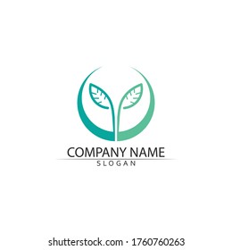 Logos of green Tree leaf ecology nature element vector