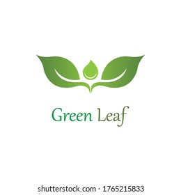 Logos of green Tree leaf ecology nature element vector