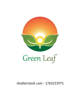 Logos of green Tree leaf ecology nature element vector