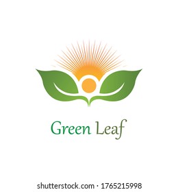 Logos of green Tree leaf ecology nature element vector