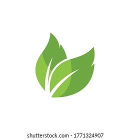 Logos of green Tree leaf ecology nature element vector