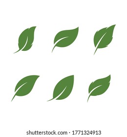 Logos of green Tree leaf ecology nature element vector