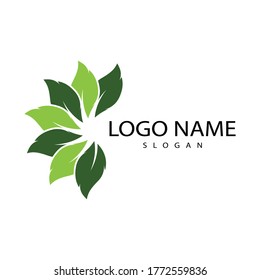 Logos of green Tree leaf ecology nature element vector
