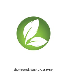 Logos of green Tree leaf ecology nature element vector