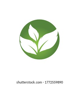 Logotipos de ecología de hoja de árbol verde elemento de naturaleza vector