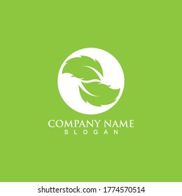 Logos of green Tree leaf ecology nature element vector