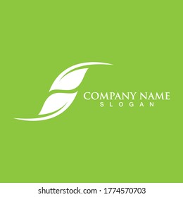 Logos of green Tree leaf ecology nature element vector