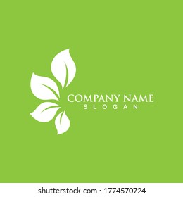 Logos of green Tree leaf ecology nature element vector