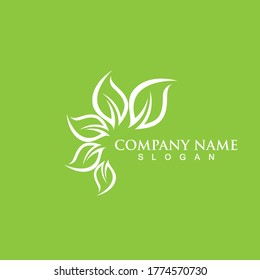 Logos of green Tree leaf ecology nature element vector