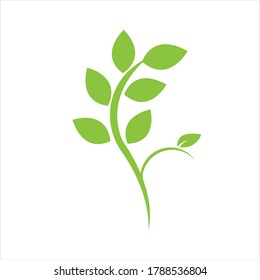 Logos of green Tree leaf ecology nature element vector