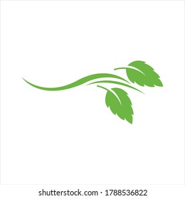 Logos of green Tree leaf ecology nature element vector