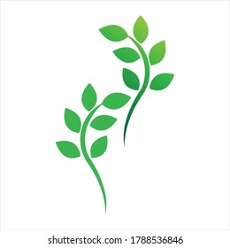 Logos of green Tree leaf ecology nature element vector