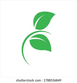 Logos of green Tree leaf ecology nature element vector