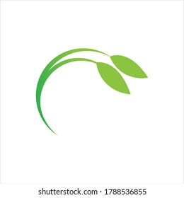 Logos of green Tree leaf ecology nature element vector
