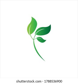 Logos of green Tree leaf ecology nature element vector