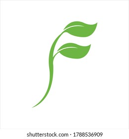 Logos of green Tree leaf ecology nature element vector