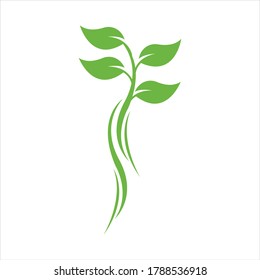 Logos of green Tree leaf ecology nature element vector