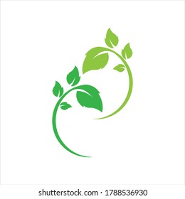 Logos of green Tree leaf ecology nature element vector